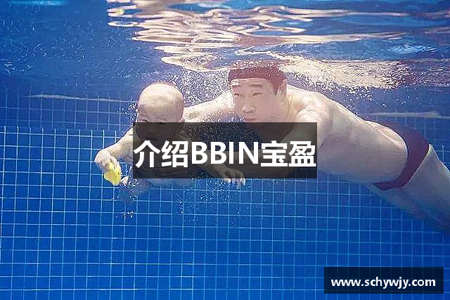 介绍BBIN宝盈
